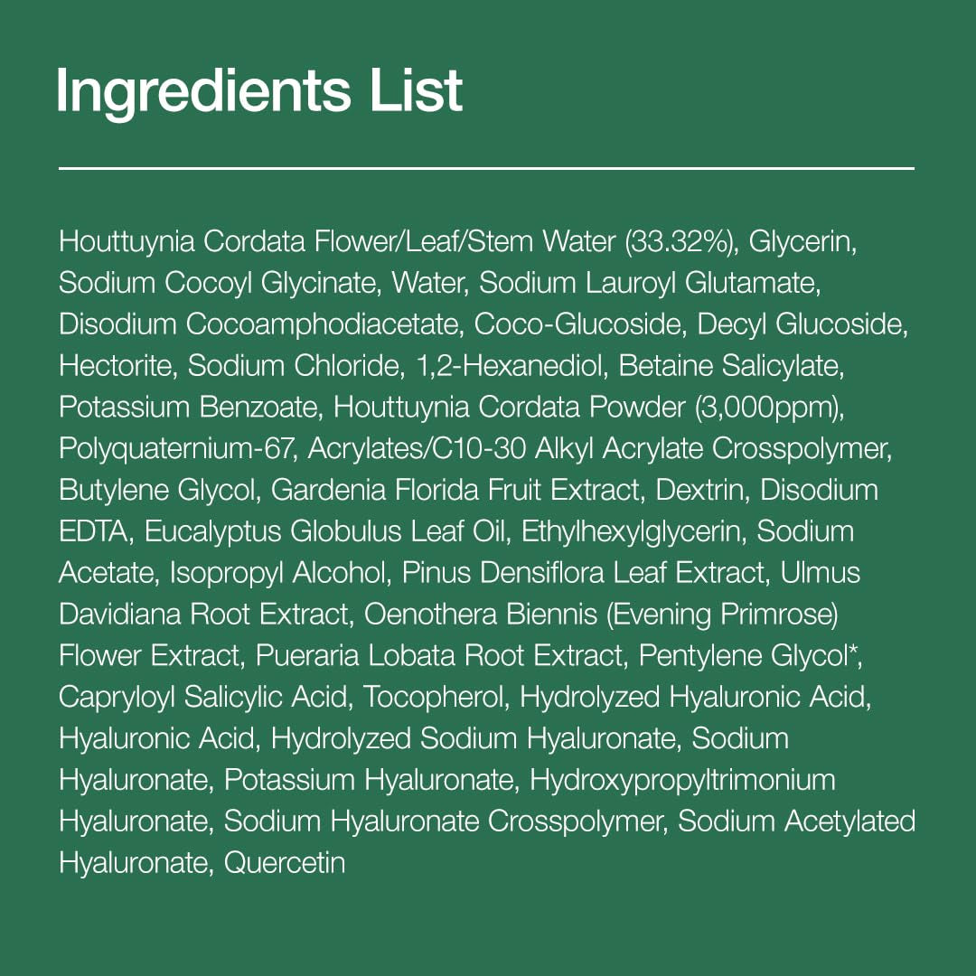 ANUA Heartleaf Quercetinol Pore Deep Cleansing Foam (150mL)