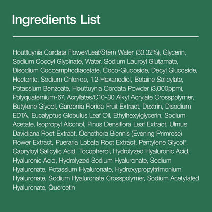 ANUA Heartleaf Quercetinol Pore Deep Cleansing Foam (150mL)